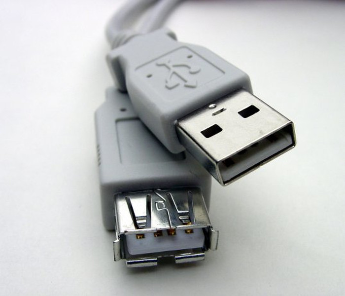 Professional Cable 6ft, USB 2.0-A - USB 2.0-A