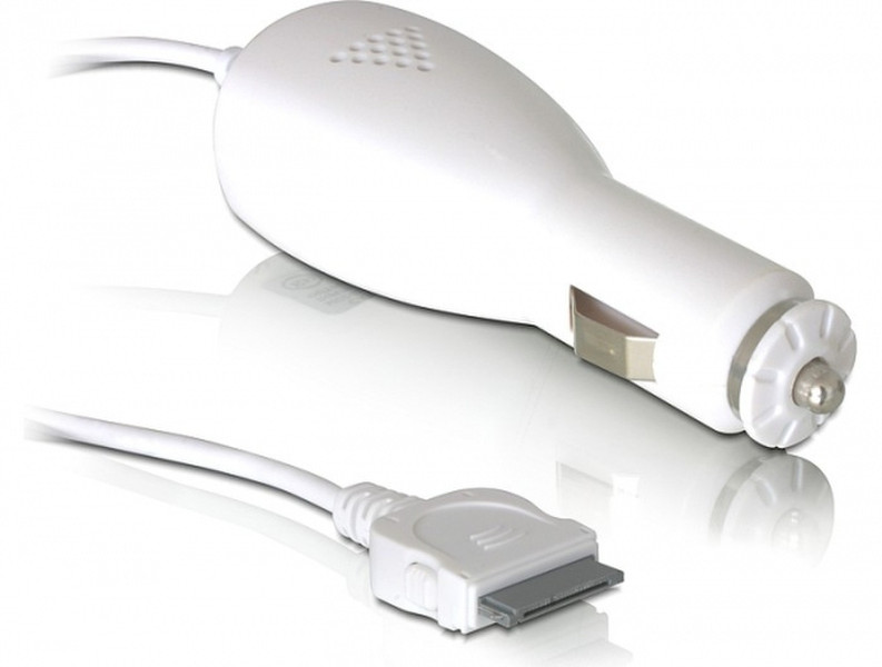DeLOCK iPhone 3G Car charger Белый адаптер питания / инвертор