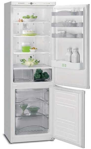 Aspes AFC1852NF freestanding 242L 69L A+ White fridge-freezer