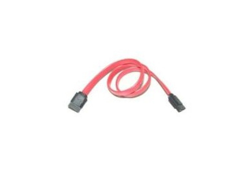 Innobo 0.5m, SATA 0.5м SATA 7-pin SATA 7-pin Красный кабель SATA
