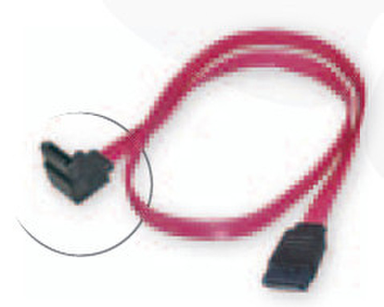 Cable Company S-ATA cable 0.5m Rot SATA-Kabel