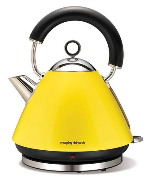 Morphy Richards 43827 electrical kettle