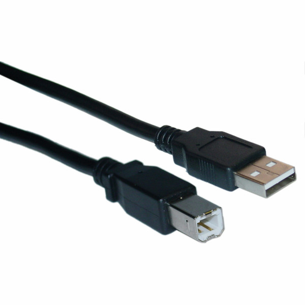 CableWholesale 1ft, USB 2.0-A - USB 2.0-B