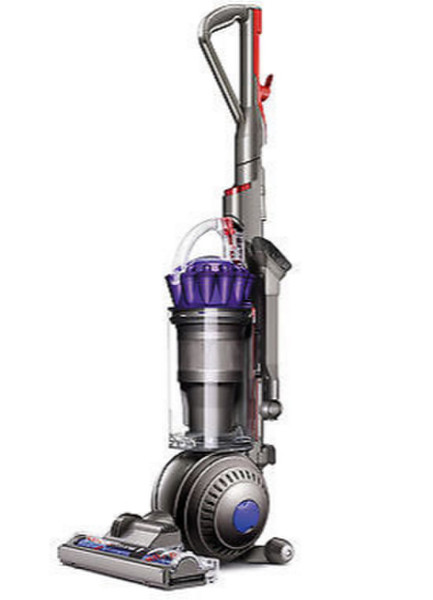 Dyson DC65 Animal