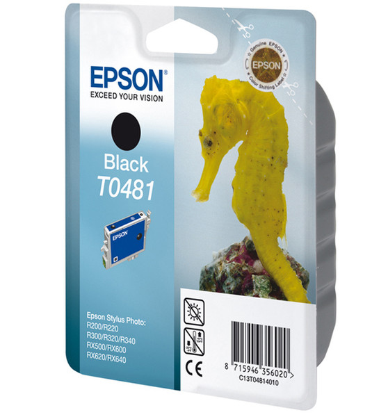 Epson T0481 Черный струйный картридж