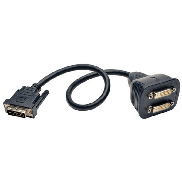 Tripp Lite DVI Y Splitter Cable, Digital Monitors (DVI-D M to 2x F), 0.31 m (1-ft.) DVI cable