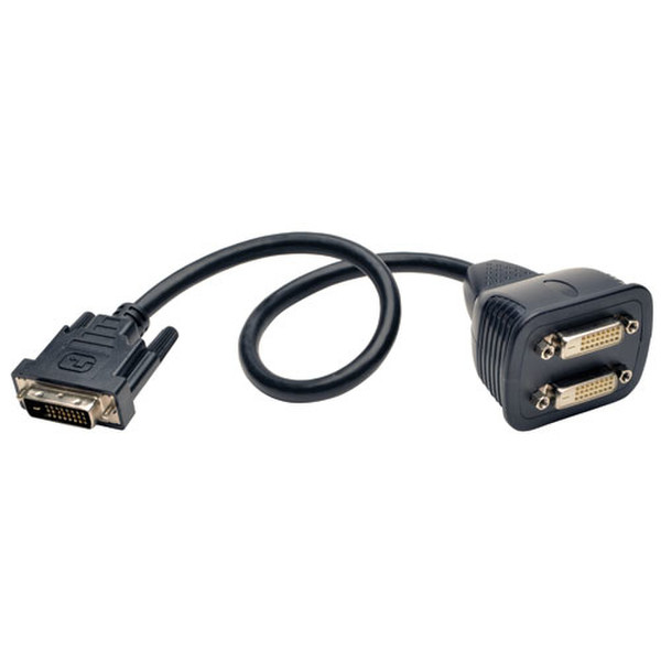 Tripp Lite P564-001 0.31m DVI-D 2 x DVI-D Schwarz DVI-Kabel