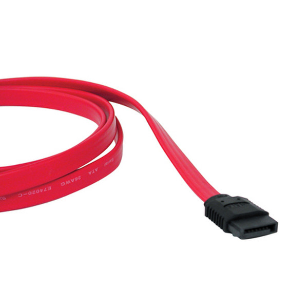 Tripp Lite 39-in. 7Pin/7Pin 1m Red SATA cable