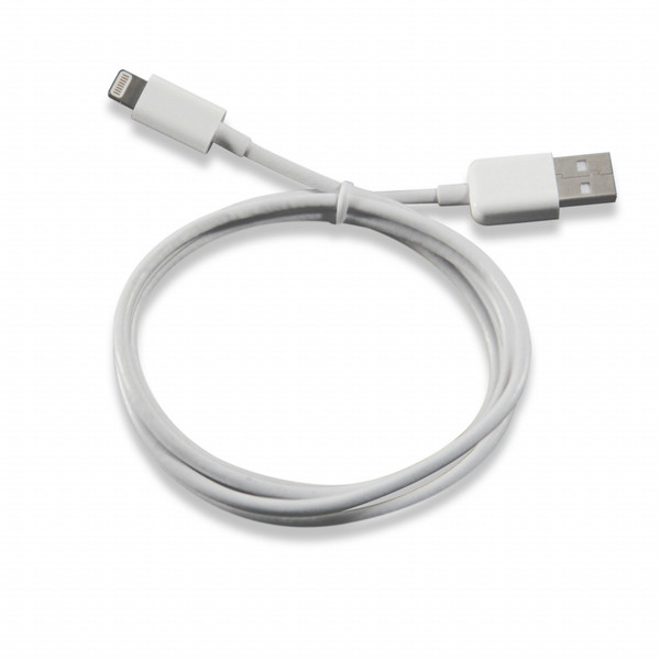Patriot Memory PCALC3FTWH USB cable