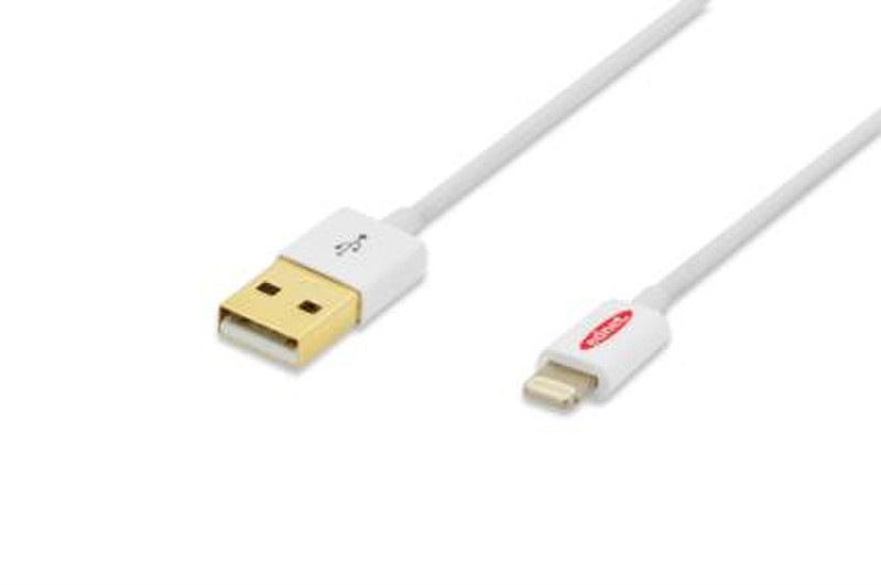 Ednet 31021 1m USB A Lightning White USB cable