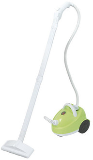 Ribimex QuickVapor Cylinder steam cleaner 0.5l Grün, Weiß