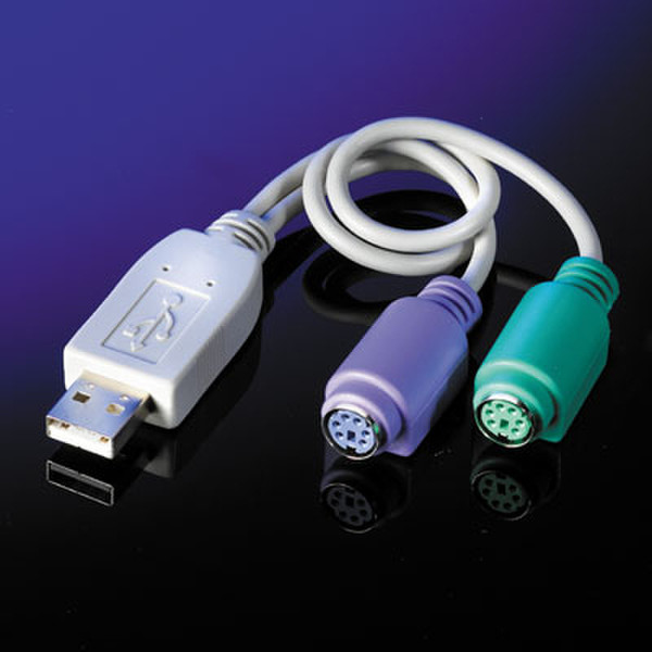 ROLINE USB - 2x PS/2 Converter USB A 2 x PS/2 White cable interface/gender adapter
