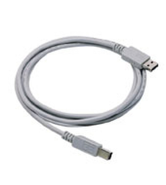 HP USB Cable 5м USB A USB B Серый кабель USB