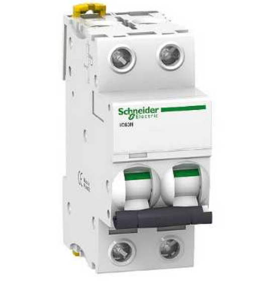 Schneider Electric IC60N C-type 2P circuit breaker