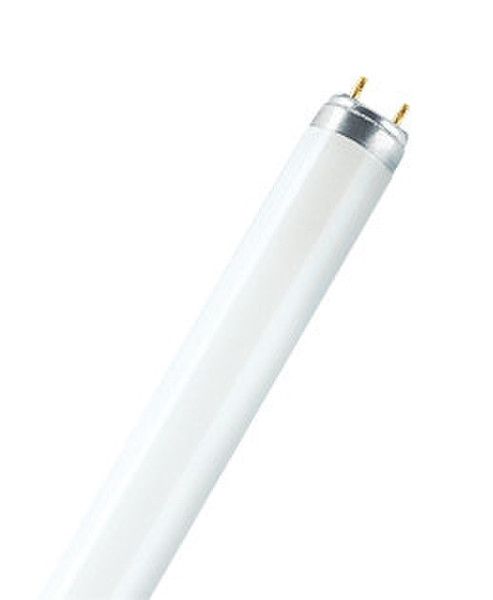 Osram L 18 W/865 18W G13 Kühles Tageslicht