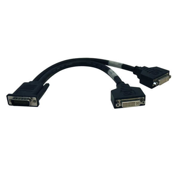 Tripp Lite DMS-59 to Dual DVI Splitter Y Cable (M to 2x DVI-I F), 1-ft.