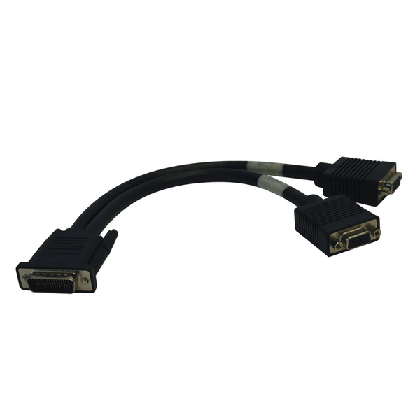 Tripp Lite DMS-59 to Dual VGA Splitter Y Cable (M to 2xF), 0.31 m (1-ft.)