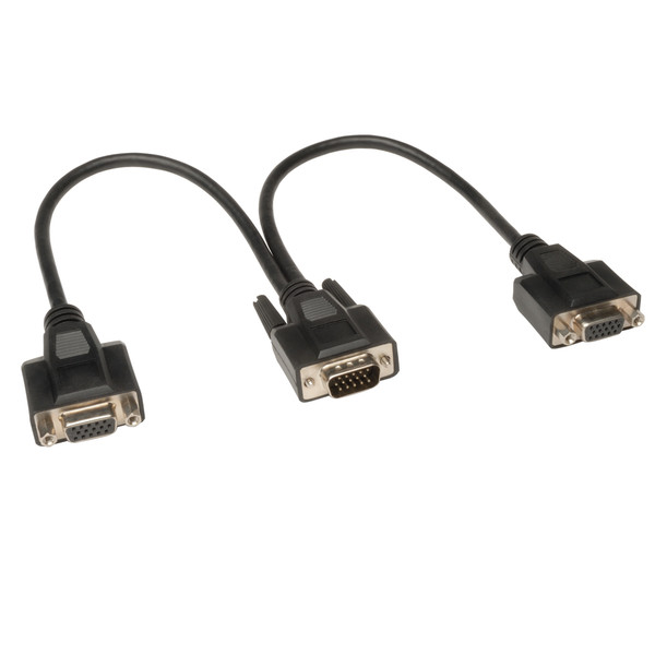 Tripp Lite VGA Monitor Y Splitter Cable, High Resolution (HD15 M to 2x HD15 F), 1-ft.