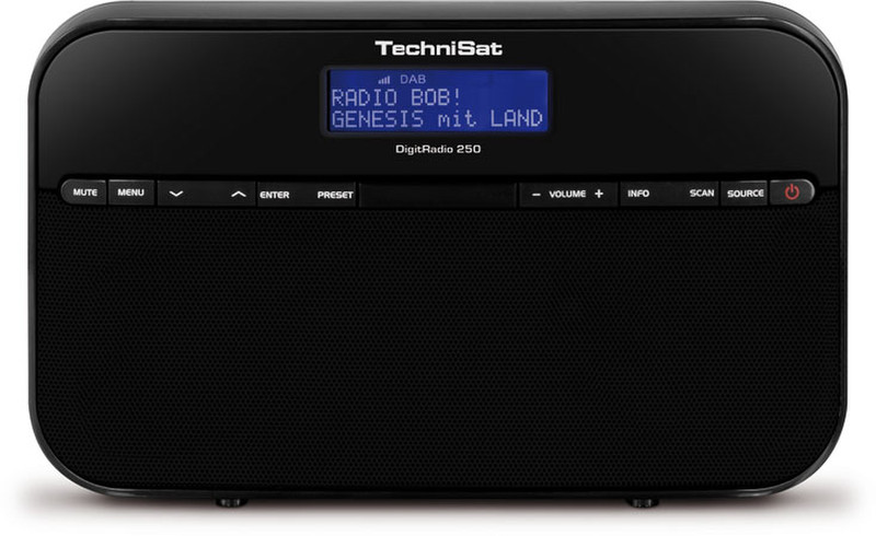 TechniSat DigitRadio 250 Часы Analog & digital Черный радиоприемник