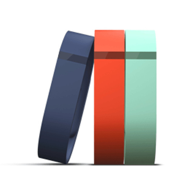 Fitbit FB401BTNTS strap