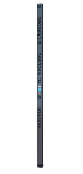 APC Rack PDU 2G 24розетка(и) Черный распределительный щит питания