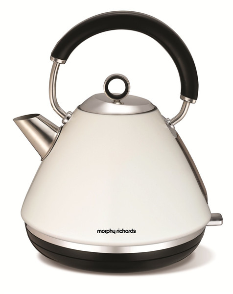 Morphy Richards 102005 electrical kettle