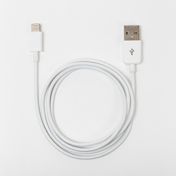 Bluestork BS-USB-I-LIGHT кабель USB