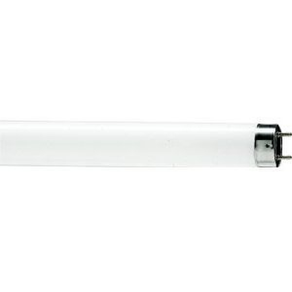 Philips 62259425 15W G13 B Warm white fluorescent lamp