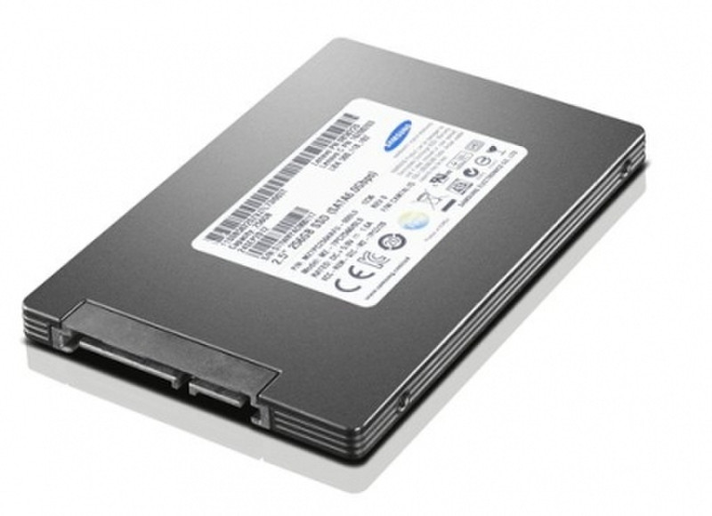 Lenovo 4XB0G80311 Serial ATA III Solid State Drive (SSD)