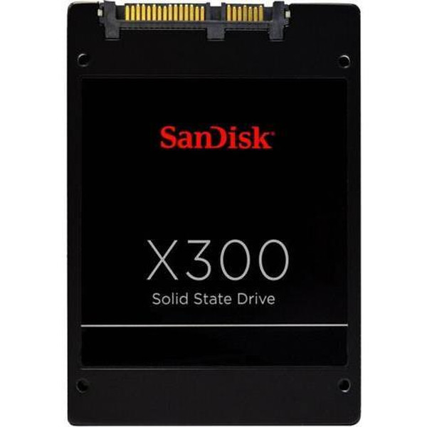 Sandisk X300