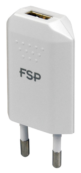 FSP/Fortron 5V/1A USB Charger