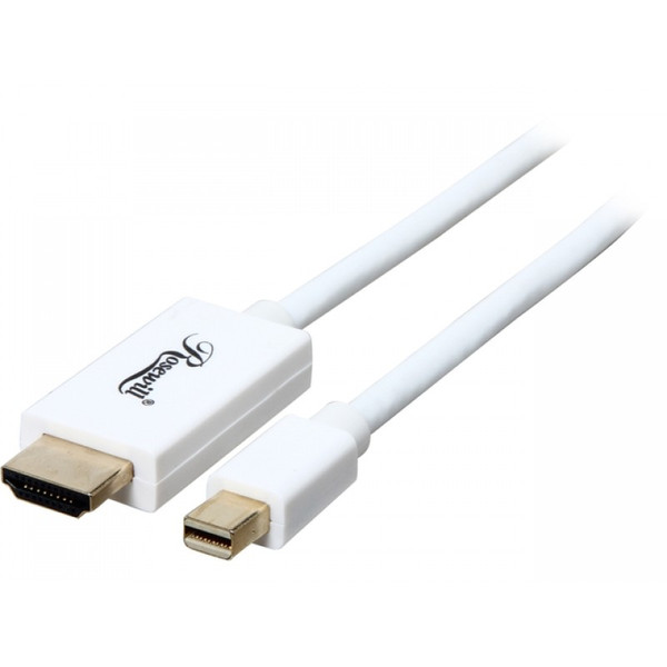 Rosewill Mini-DisplayPort - HDMI M/M 3m