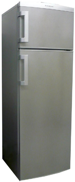 Schaub Lorenz BSLDDB281S freestanding A+ Silver fridge-freezer