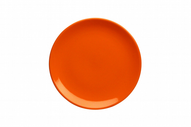 Tognana Porcellane ME100260780 dining plate