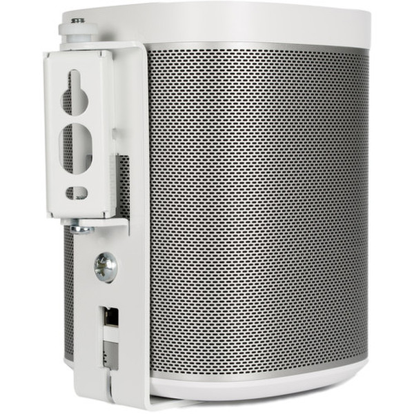 Flexson FLXP1WB1011 speaker mount