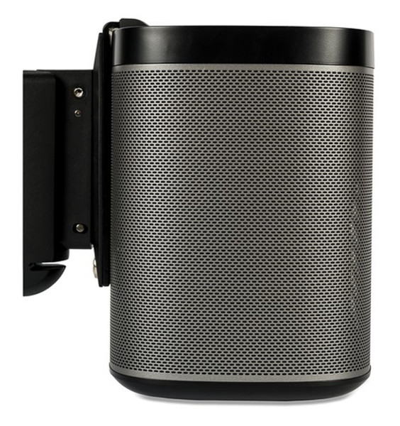 Flexson FLXP1WB2021 speaker mount