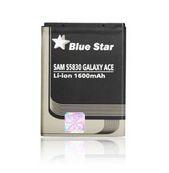 BlueStar 5901737173621 Lithium-Ion 1600mAh Wiederaufladbare Batterie