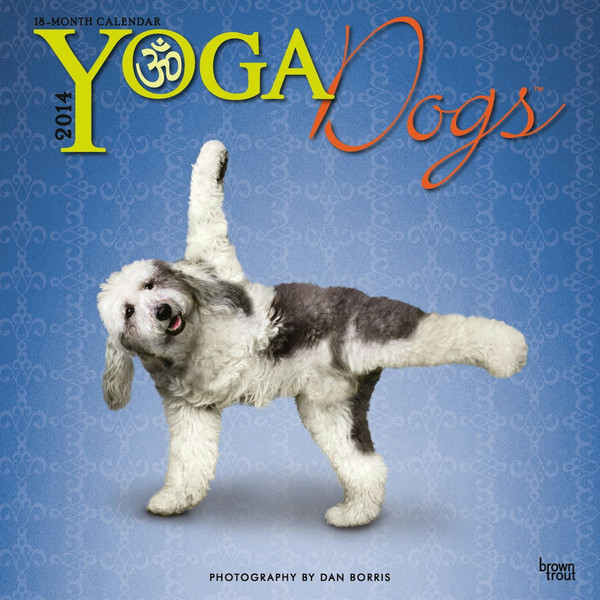 BrownTrout Yoga Dogs 2014