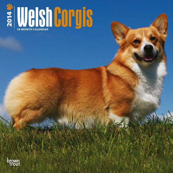 BrownTrout Welsh Corgis 2014