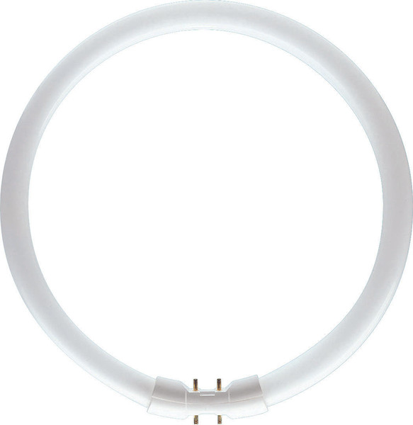 Philips MASTER LED TL5 Circular 60W/840 1CT 60W A Cool white