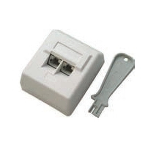 Schwaiger TDA1428 531 RJ-45 White socket-outlet