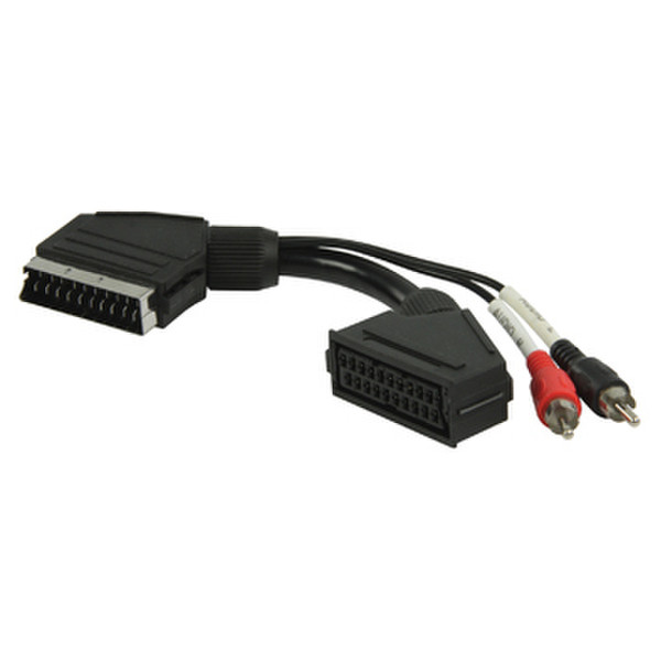 Valueline VLVP31020B02 Videokabel-Adapter