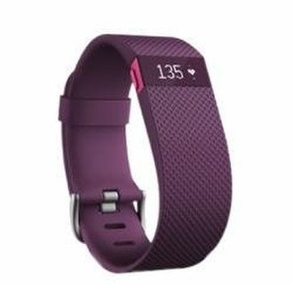 GoPro FB405PMS-EU Armband activity tracker OLED Wireless Purple activity tracker