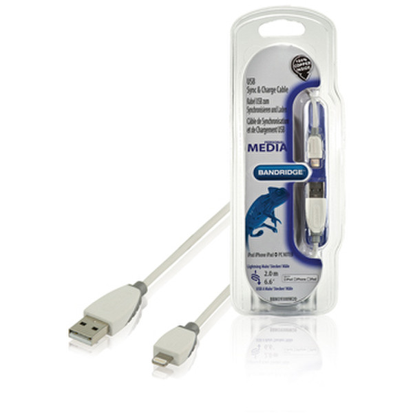 Bandridge BBM39300W20 2m USB A Lightning Weiß USB Kabel