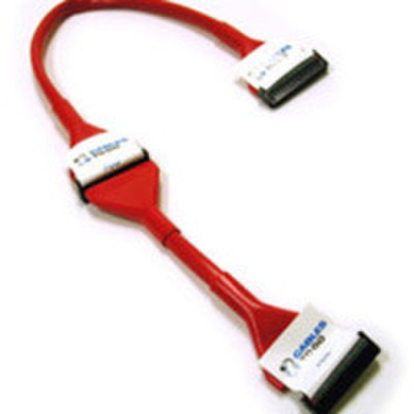 C2G 24in Go!Mod Molded Round 2-Device Floppy Cable Red Weiblich/weiblich