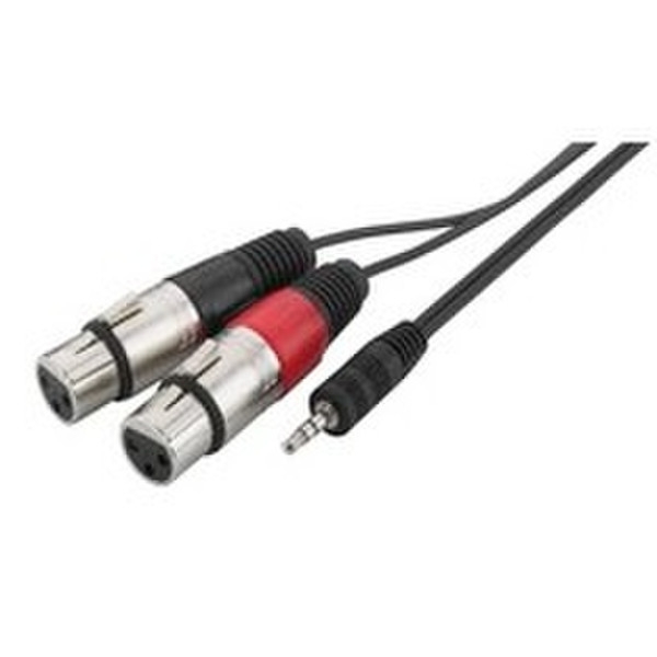 Monacor MCA-329P 3m 3.5mm 2 x XLR (3-pin) Schwarz Audio-Kabel