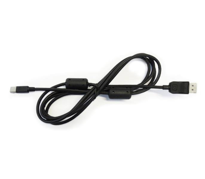 Eizo PM200-K DisplayPort кабель