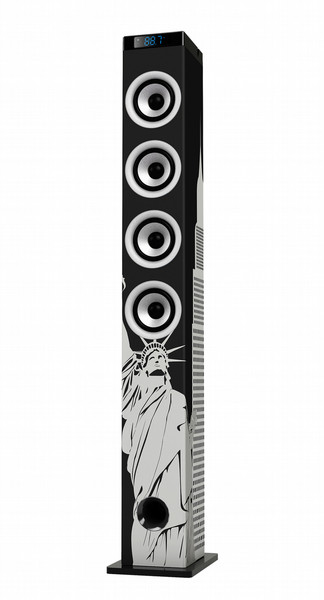 Ices IBT-5 NY Liberty 48W Black,White loudspeaker