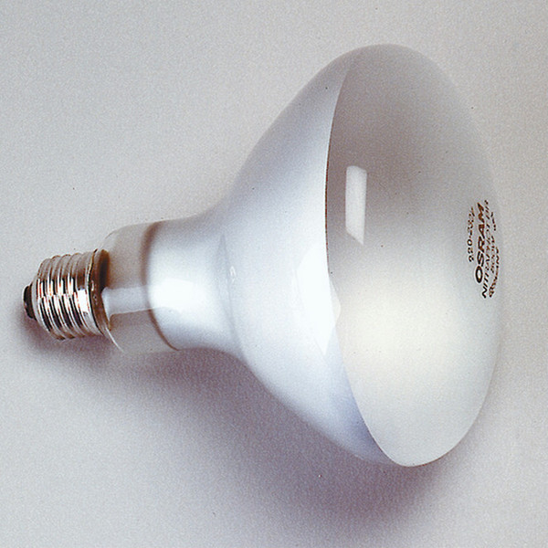 Kaiser Fototechnik 3125 incandescent lamp