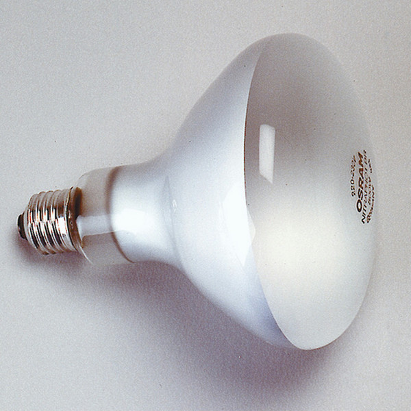 Kaiser Fototechnik 3125 Glühlampe